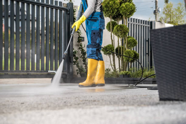 Best Building Exterior Washing  in Harbor Bluffs, FL